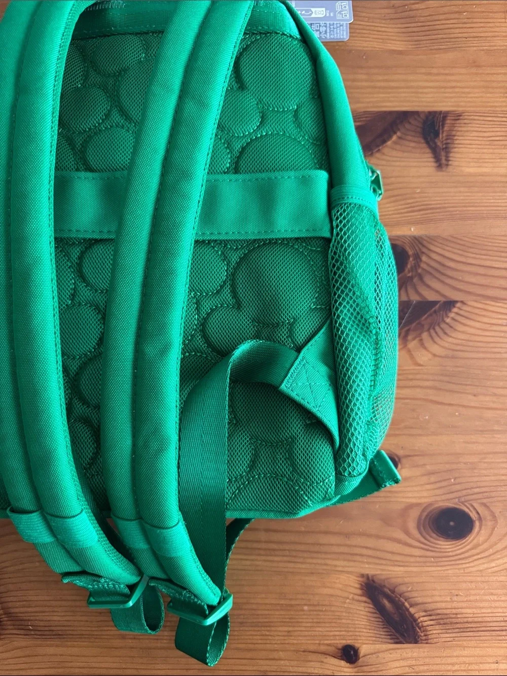 Disney Disneyland Resort Green Icon Mania Small Backpack